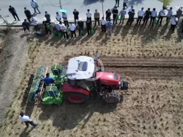 Rape blanket seedling combined transplanting machine